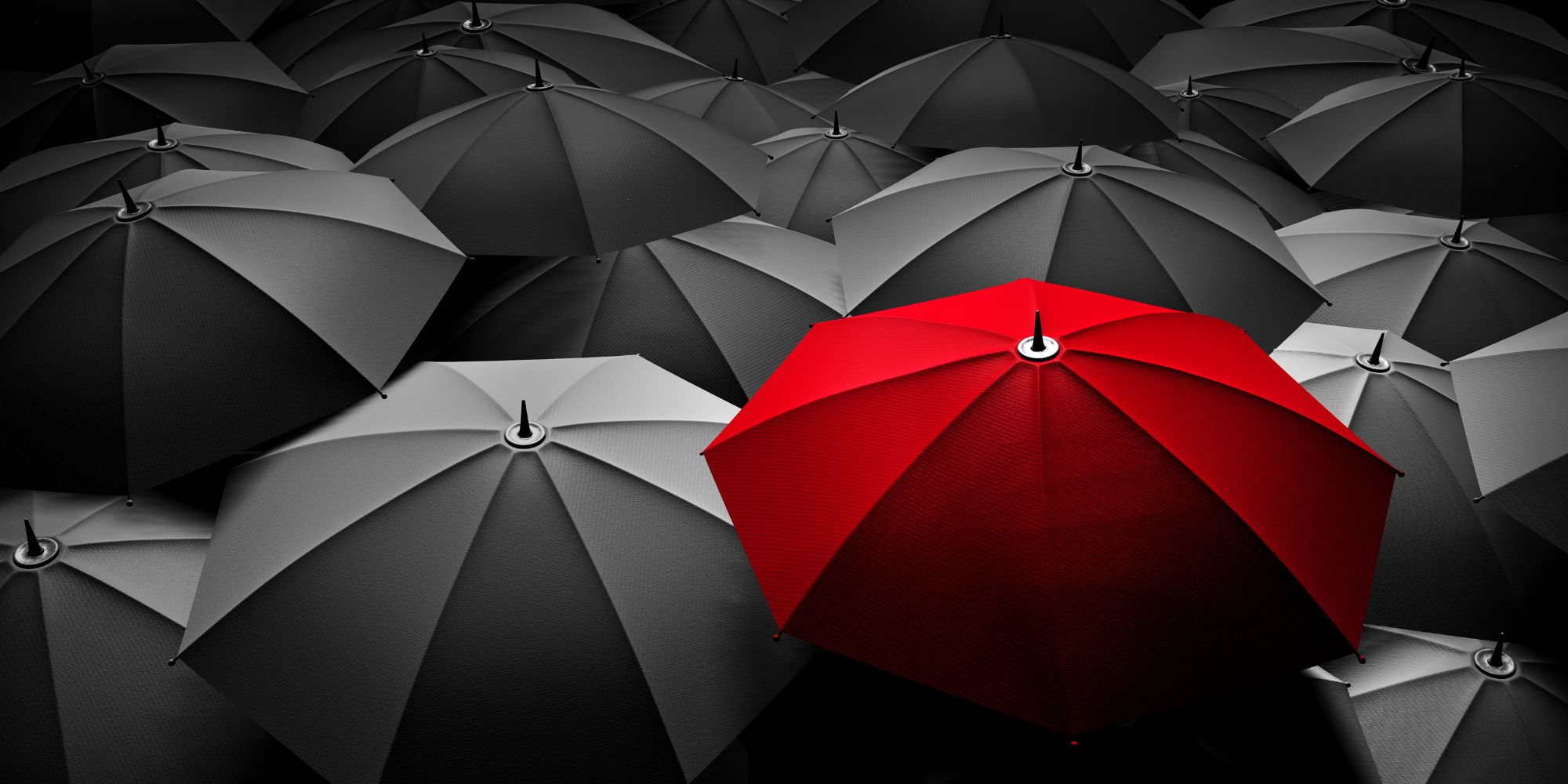 A photograph showing a sea of black umbrellas, all the same, except one is red